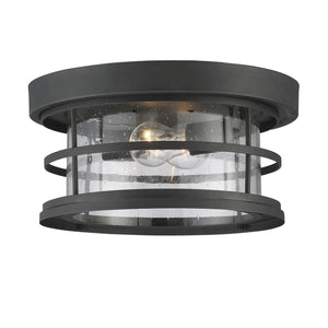 Barrett 2-Light Outdoor Ceiling Light