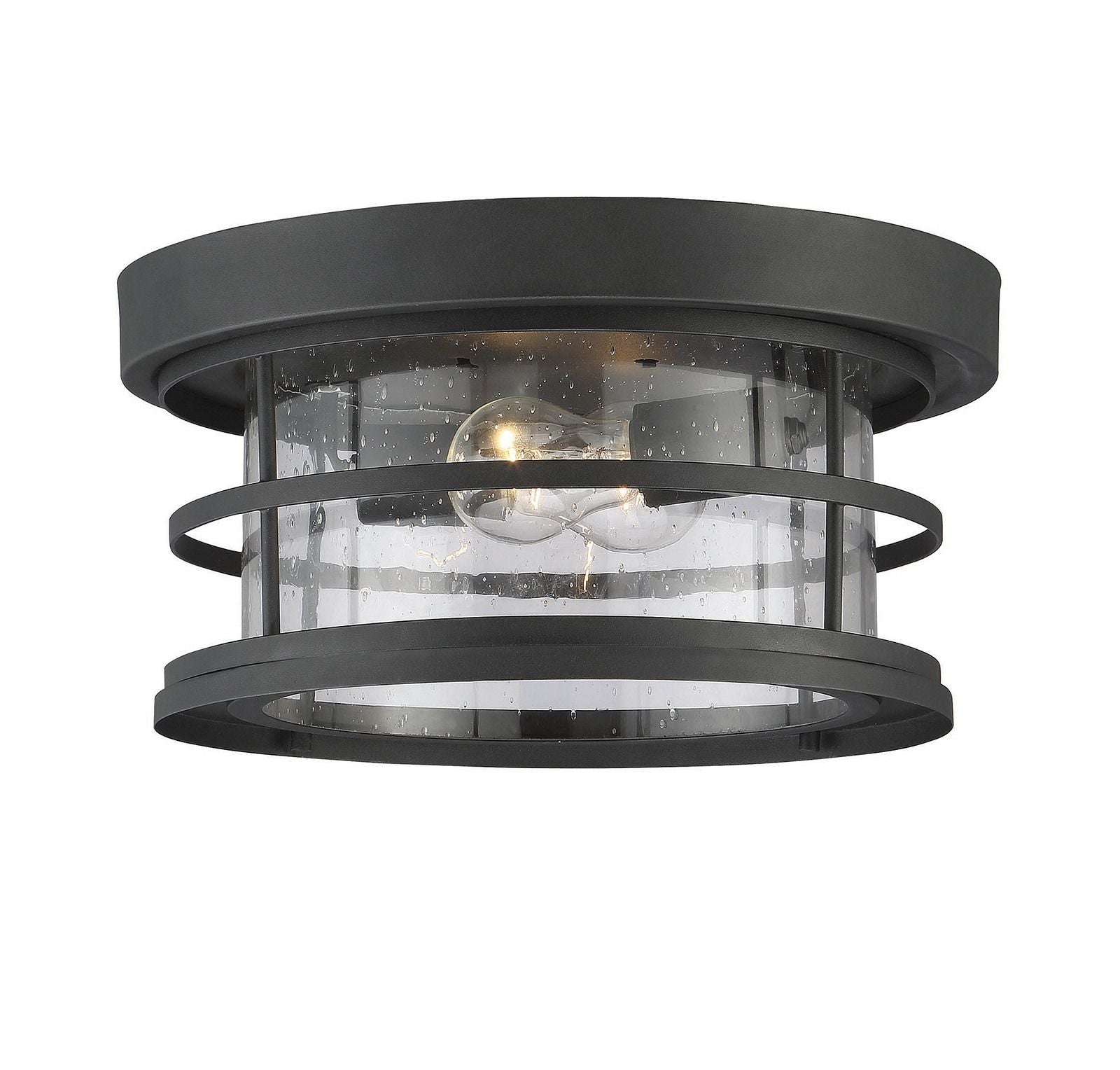 Barrett 2-Light Outdoor Ceiling Light