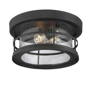 Barrett 2-Light Outdoor Ceiling Light