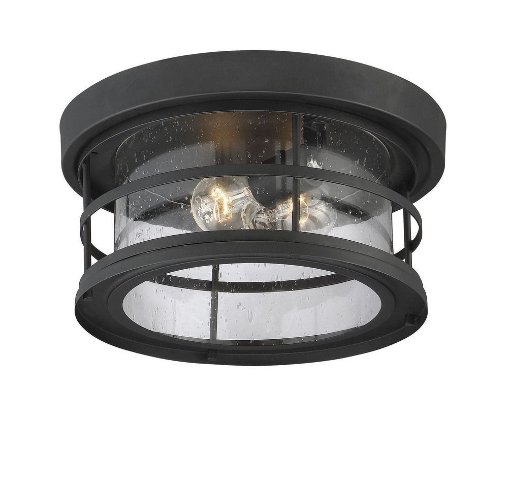 Barrett 2-Light Outdoor Ceiling Light