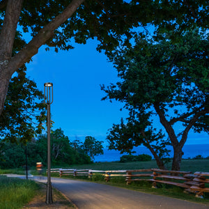 Leland 1 Light Outdoor Post Mounted Fixture