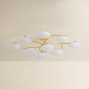 Bayberry Close-to-Ceiling