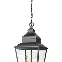 Raphael 12-in Outdoor Hanging