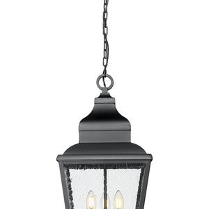 Raphael 12-in Outdoor Hanging