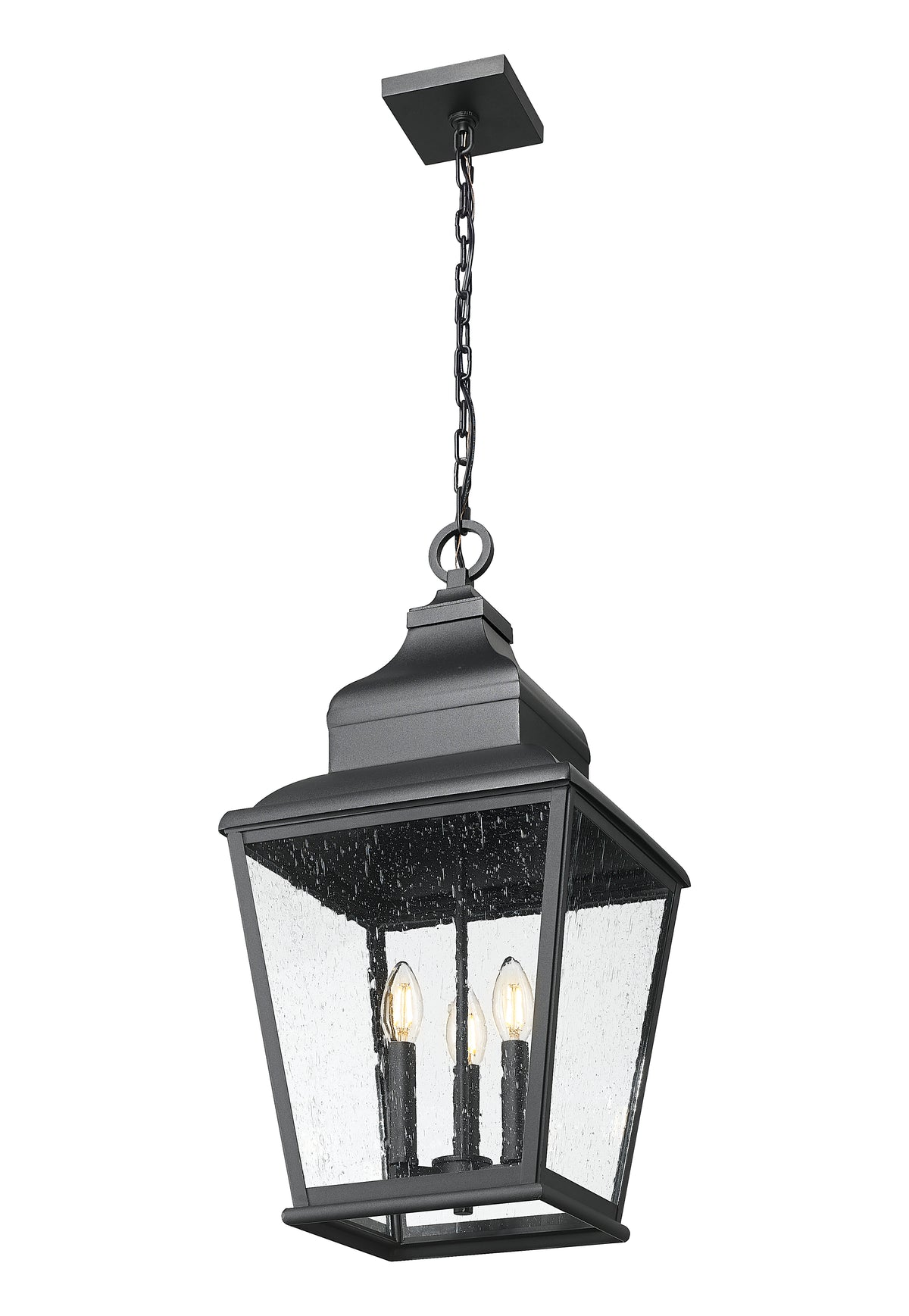 Raphael 12-in Outdoor Hanging