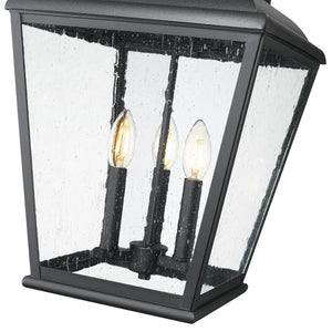 Raphael 12-in Outdoor Hanging