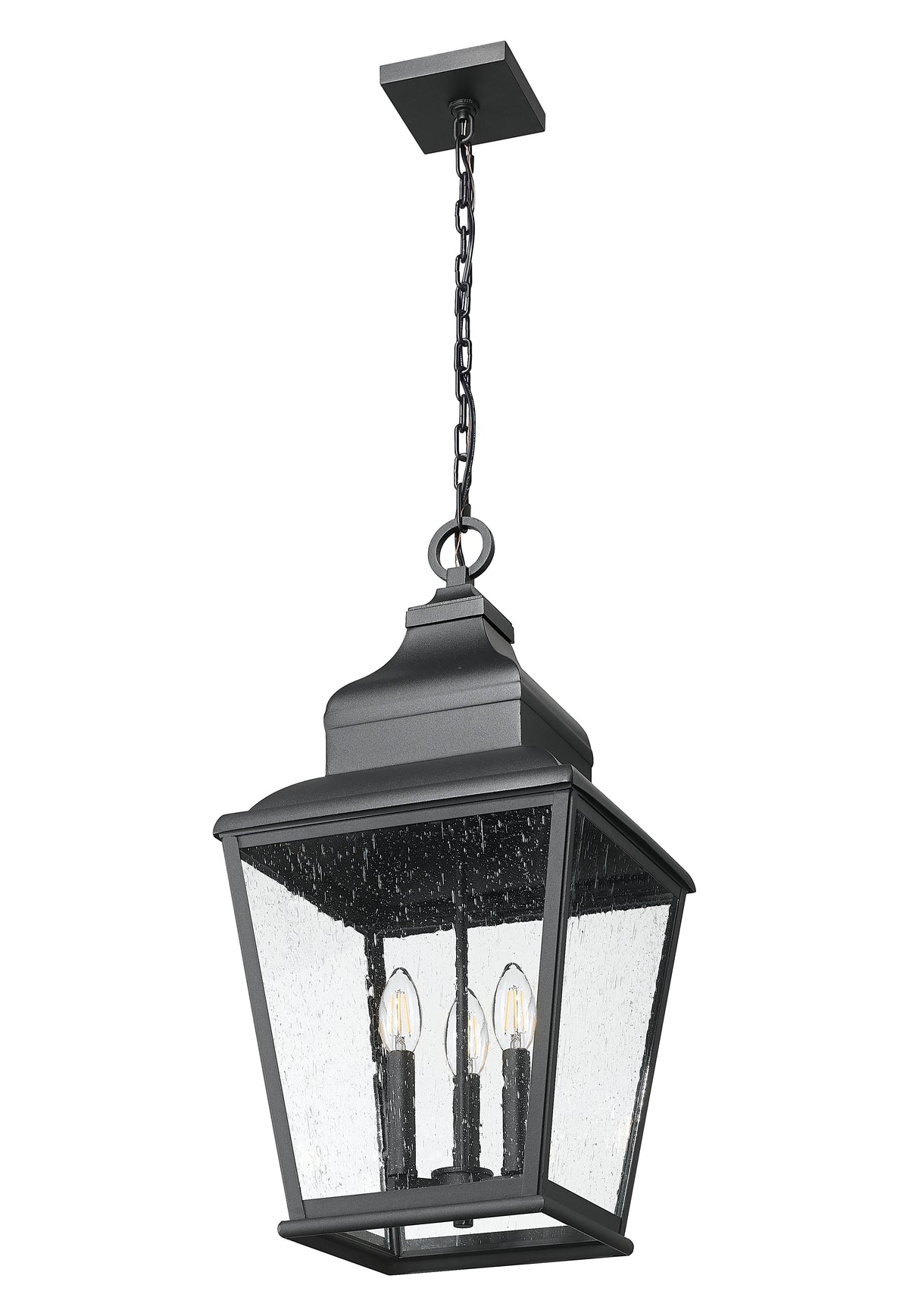 Raphael 12-in Outdoor Hanging