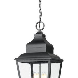 Raphael 14-in Outdoor Hanging