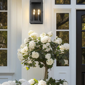Toulouse 4 Light Outdoor Wall Light