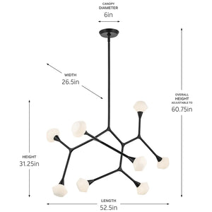 Cassius Chandelier Extra Large 8Lt