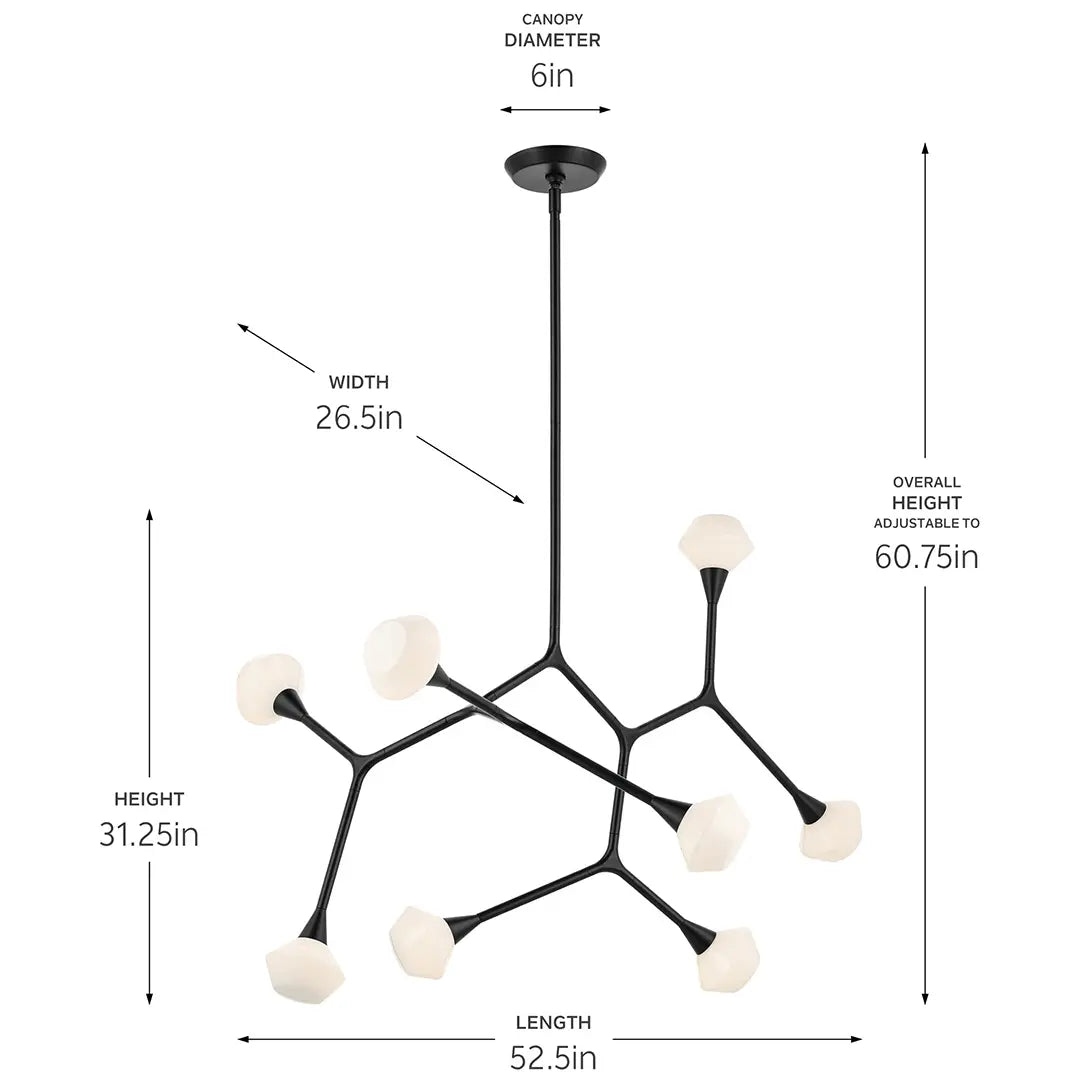 Cassius Chandelier Extra Large 8Lt