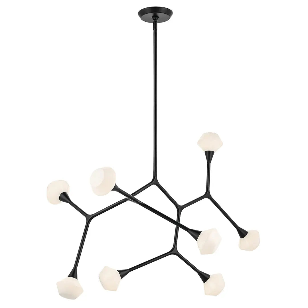 Cassius Chandelier Extra Large 8Lt
