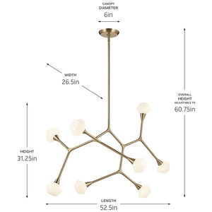 Cassius Chandelier Extra Large 8Lt