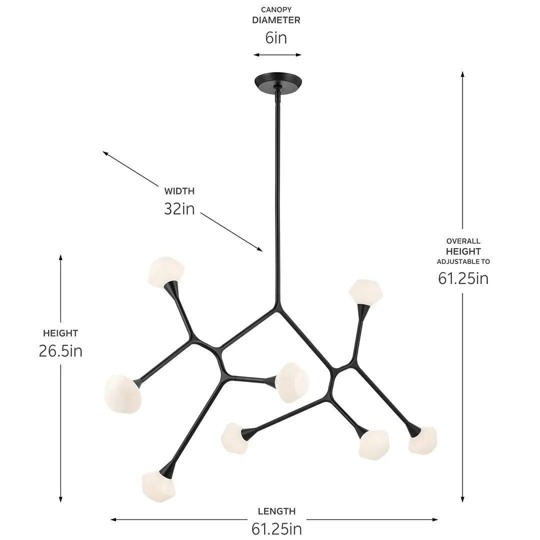 Cassius Chandelier Extra Large 8Lt