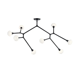 Cassius Chandelier Extra Large 8Lt