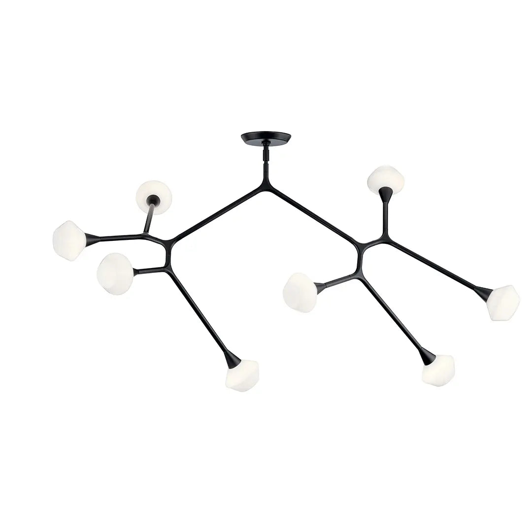 Cassius Chandelier Extra Large 8Lt
