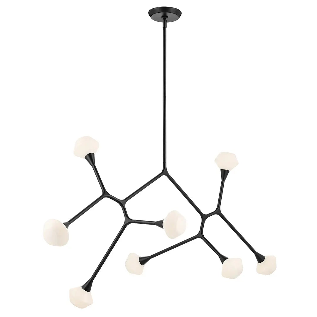 Cassius Chandelier Extra Large 8Lt