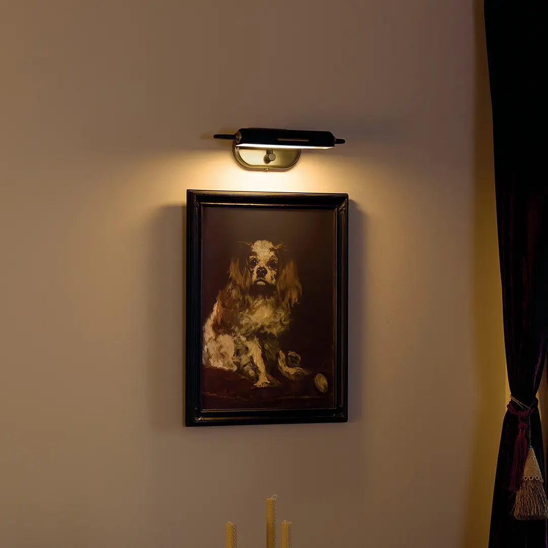 Caillier Picture Light 1Lt