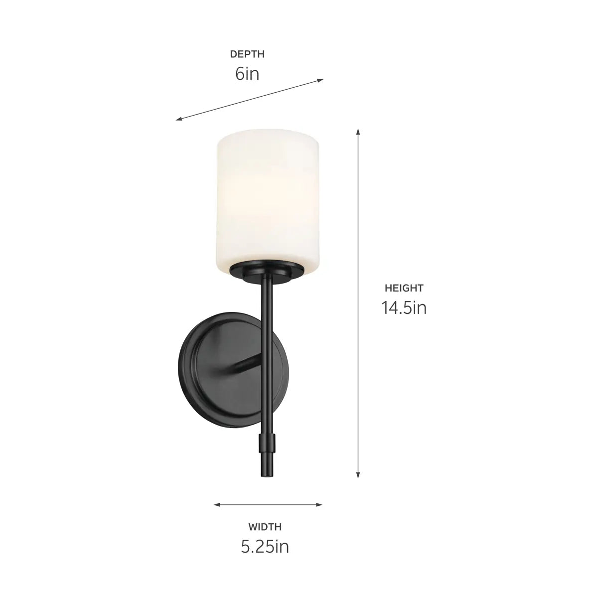 Ali Wall Sconce 1Lt