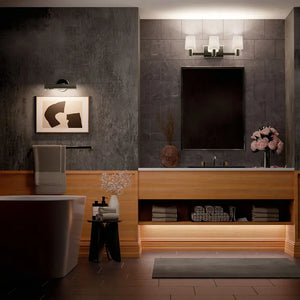 Adani Vanity 3Lt