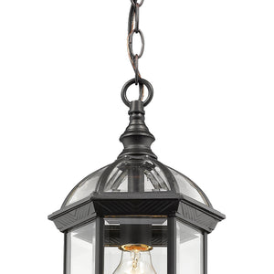 Annex 1 Light Outdoor Chain Mount Ceiling Fixture