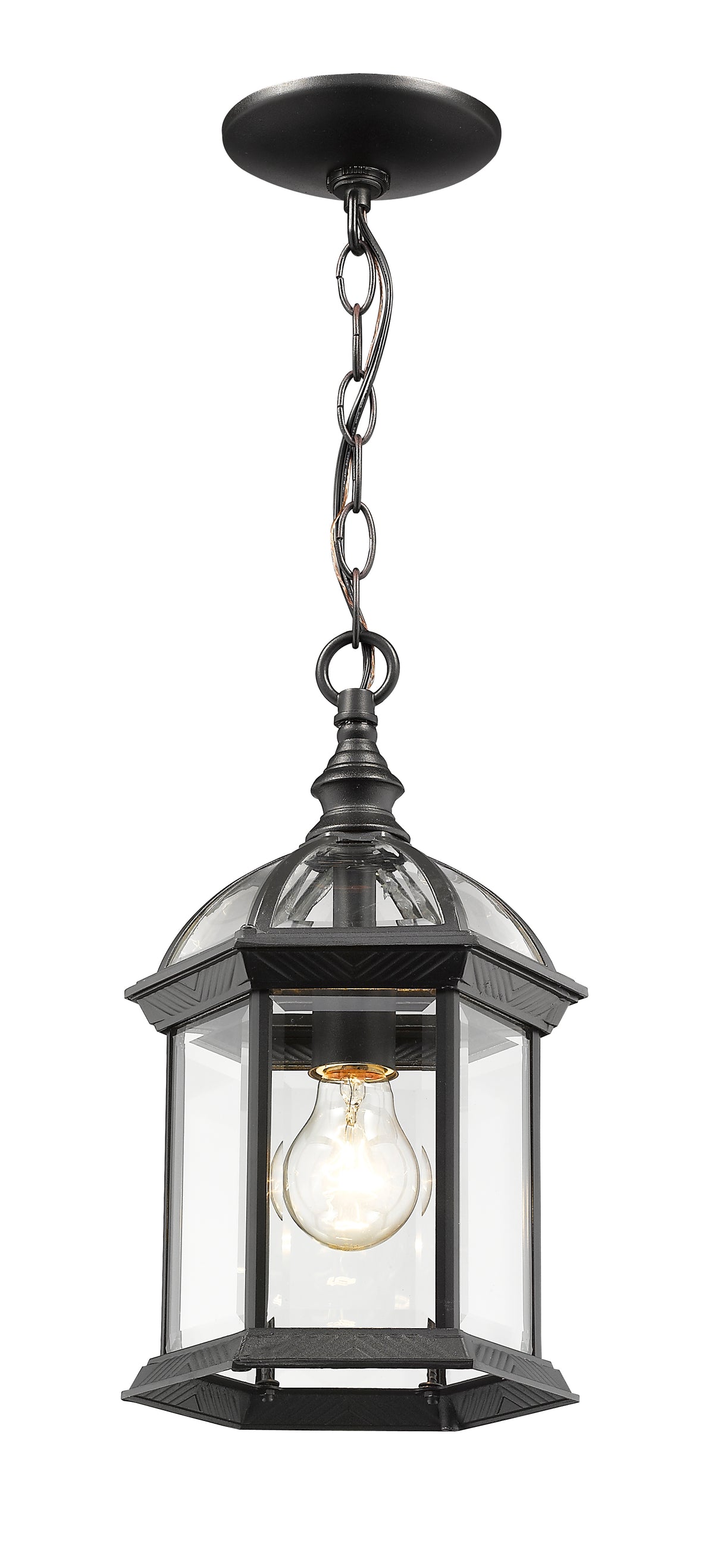 Annex 1 Light Outdoor Chain Mount Ceiling Fixture