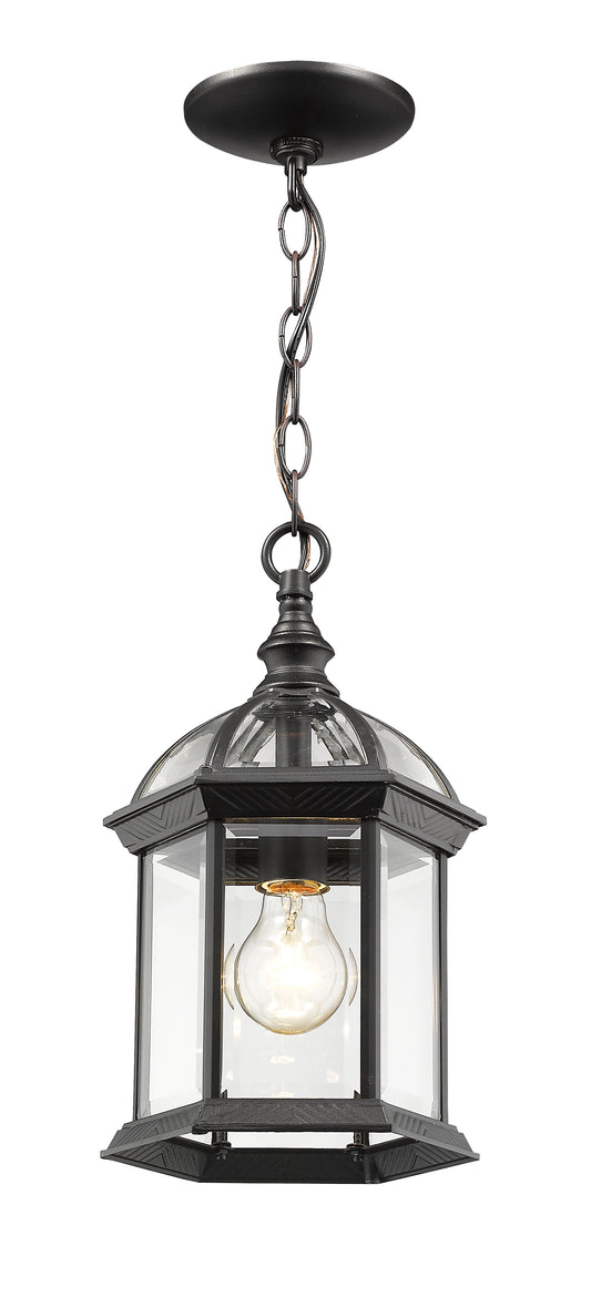 Annex 1 Light Outdoor Chain Mount Ceiling Fixture