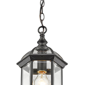 Annex 1 Light Outdoor Chain Mount Ceiling Fixture
