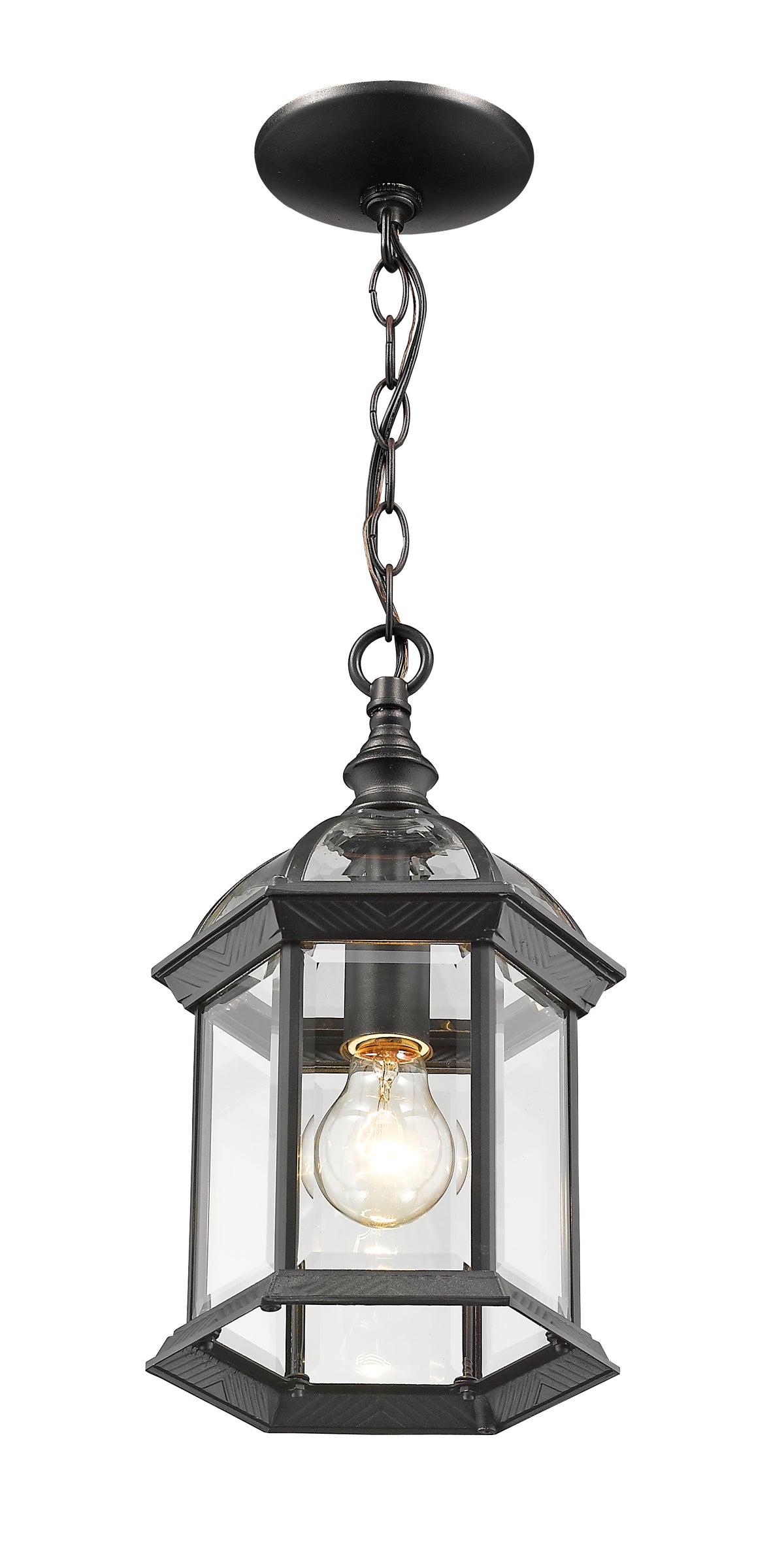 Annex 1 Light Outdoor Chain Mount Ceiling Fixture