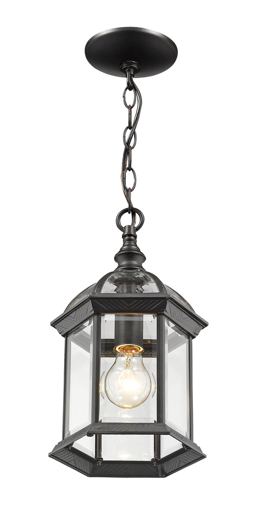 Annex 1 Light Outdoor Chain Mount Ceiling Fixture