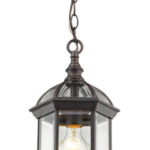Annex 1 Light Outdoor Chain Mount Ceiling Fixture