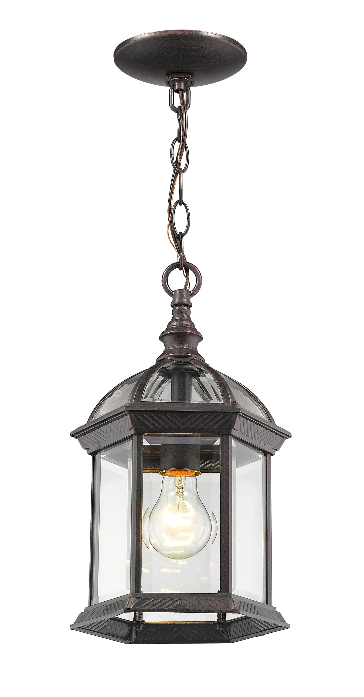 Annex 1 Light Outdoor Chain Mount Ceiling Fixture