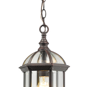 Annex 1 Light Outdoor Chain Mount Ceiling Fixture