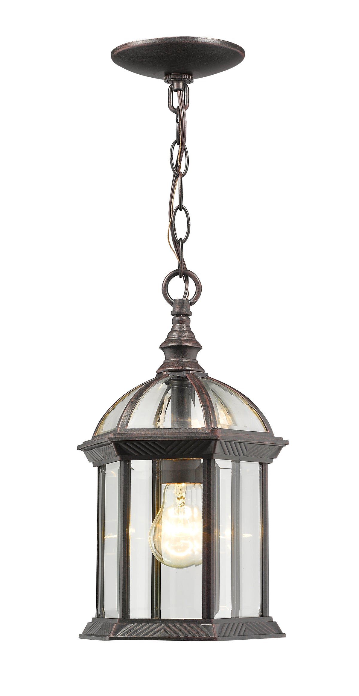 Annex 1 Light Outdoor Chain Mount Ceiling Fixture