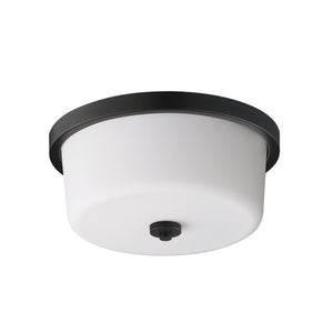 Fuller 2-Light Flush Mount