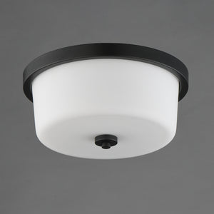Fuller 2-Light Flush Mount