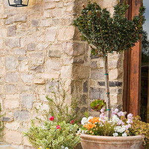 Talbot 17.5-in Outdoor