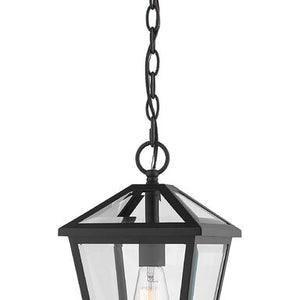 Talbot 14.25-in Outdoor Hanging