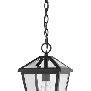 Talbot 14.25-in Outdoor Hanging