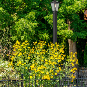Talbot 1 Light Outdoor Post Mounted Fixture