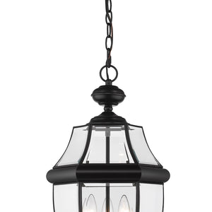 Westover 20.75-in Outdoor Hanging