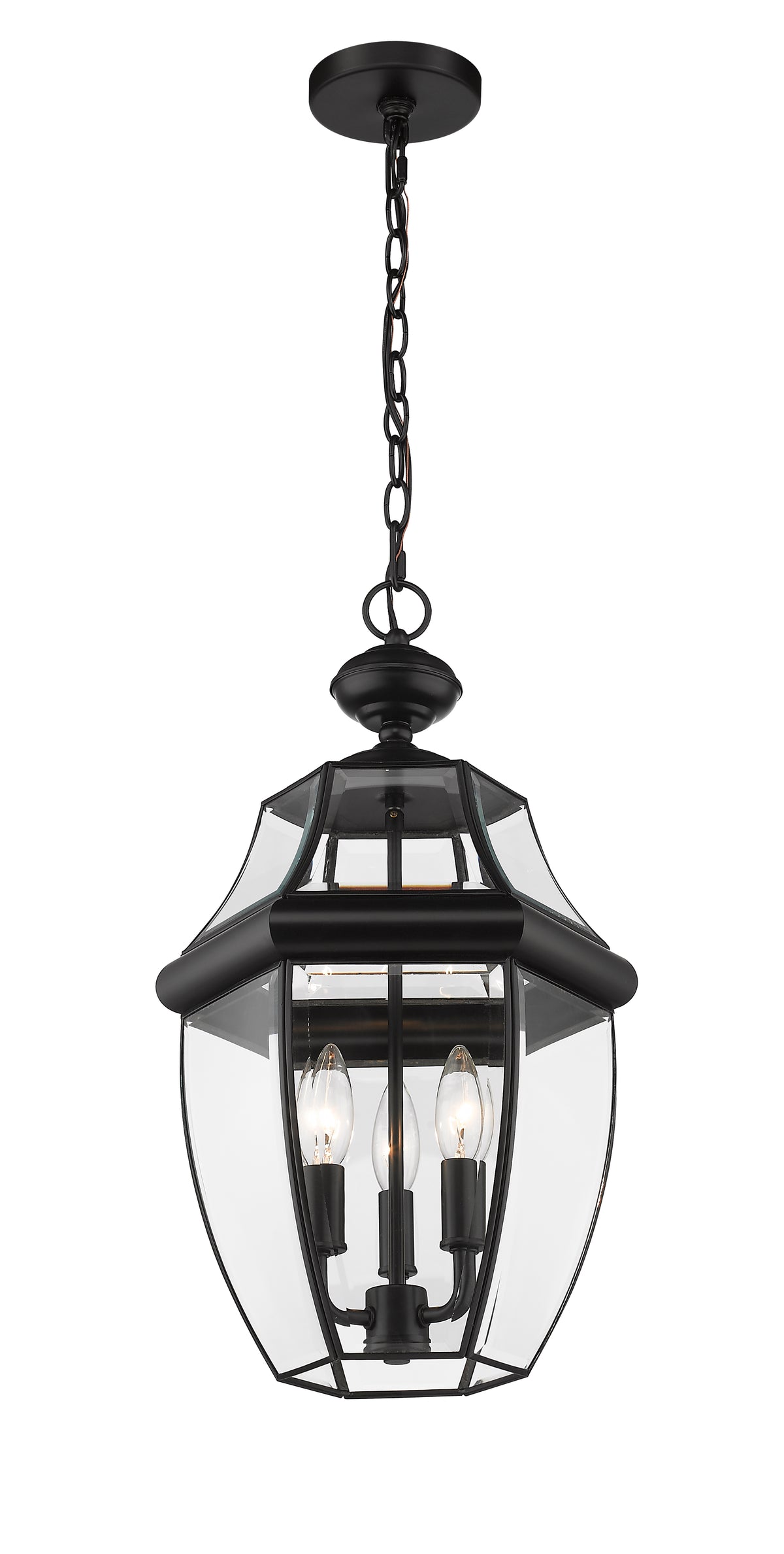 Westover 20.75-in Outdoor Hanging