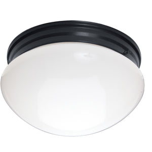 Essentials 2-Light Flush Mount