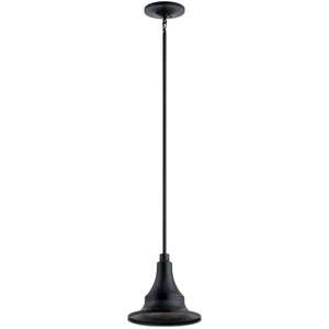 Hampshire Outdoor Pendant 1Lt