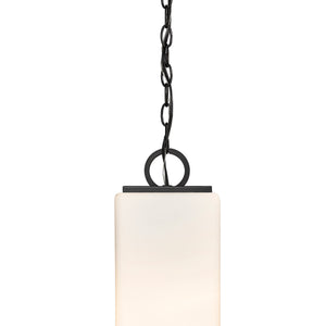 Sana 1 Light Outdoor Chain Mount Ceiling Fixture