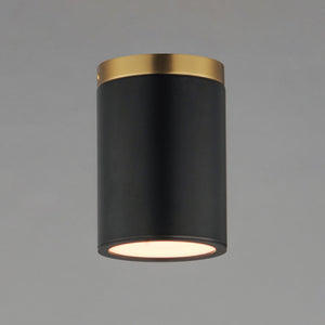 Dapper 1-Light Flush Mount