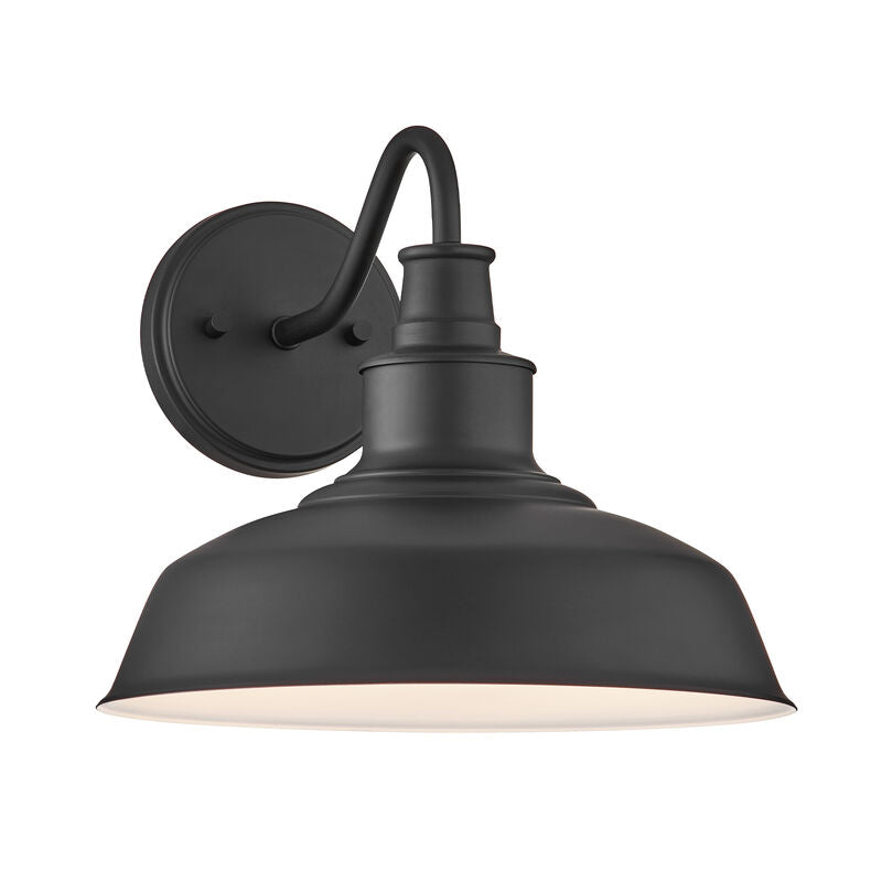 Meridian 1-Light Outdoor Wall Sconce