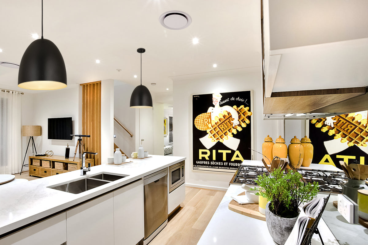 Z-Studio 1 Light Pendant