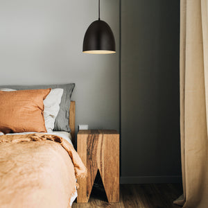 Z-Studio 1 Light Pendant