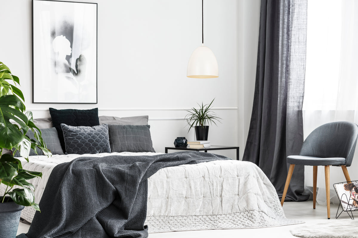 Z-Studio 1 Light Pendant